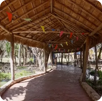 KOKAI Academy Gallery Photo 5