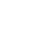 Icon Toy