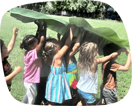 Outdoor discovery