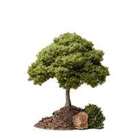 KOKAI Academy Tree 3